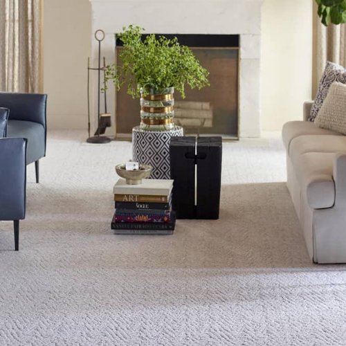 Living Room Pattern Carpet - Thompson Interiors in  Lake Odessa, MI