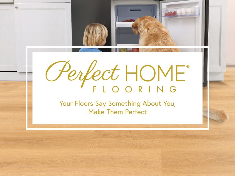 Perfect home carpet at Thompson Interiors in Lake Odessa, MI