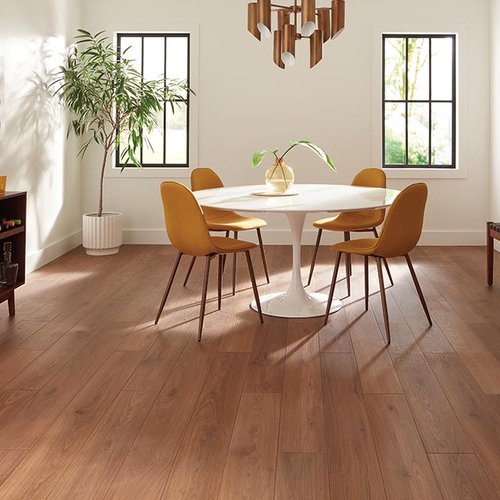 Dining Room Luxury Vinyl Plank LVP -  Thompson Interiors in  Lake Odessa, MI